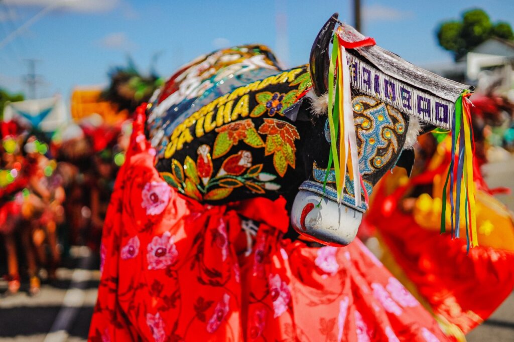 Apresentação de Bumba Meu Boi durante o São João de São Luís, no Maranhão.